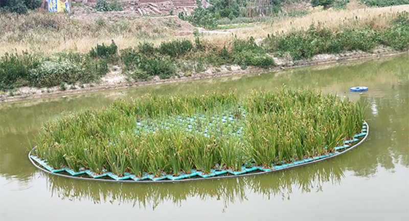 河道治理污水處理設備現場